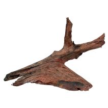 Décor aquarium racine mangrove médium - 25 à 40cm