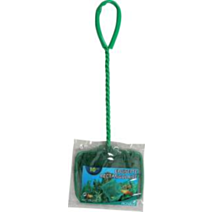 EPUISETTE VERTE 10CM