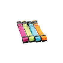 Collier en nylon réglable pour chien 25 mm turquoise - ZOLUX