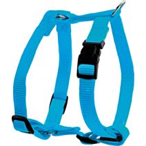 Harnais nylon réglable 15 mm turquoise - ZOLUX