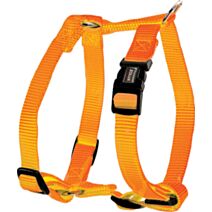 Harnais nylon réglable 25 mm orange - ZOLUX