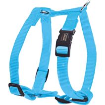 Harnais nylon réglable 25 mm turquoise - ZOLUX