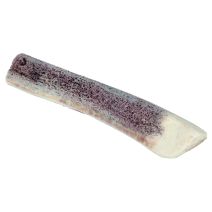 Bois de cerf puppy n1