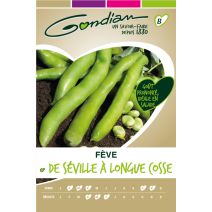 Fève de Séville 250 g Gondian
