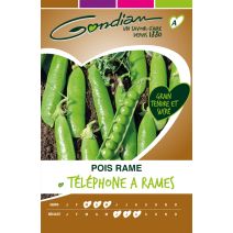 Pois Téléphone à rames - rame à grain rond Gondian