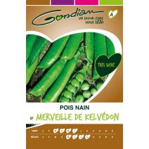 Pois Merveille de Kelvedon Gondian
