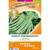 Haricot Récital - nain filet mangetout Gondian