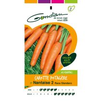 Carotte potagère nantaise 2 race slendero Gondian