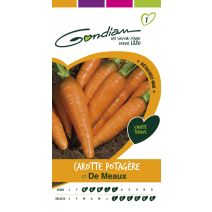 Carotte potagère Meaux Gondian