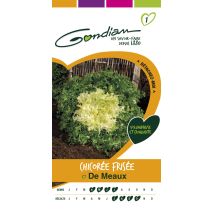 Chicorée frisée de Meaux Gondian