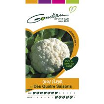 Chou fleur quatre saisons Gondian