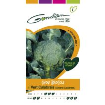 Chou Brocoli vert calabrais Gondian