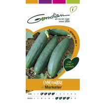 Concombre marketer Gondian