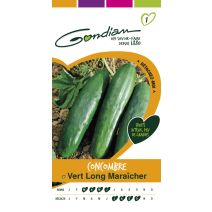 Concombre maraicher vert long Gondian