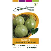 Courgette Nice fruit rond Gondian