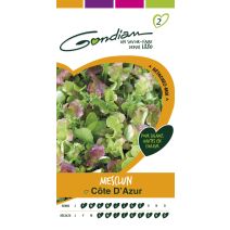 Mesclun cote azur Gondian