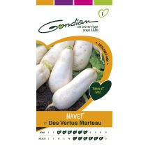 Navet des vertus marteau Gondian