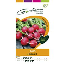 Graines Radis Saxa 3 - GONDIAN