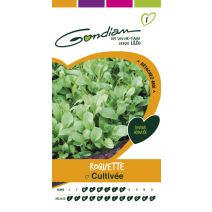 Roquette cultivée Gondian
