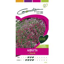 Aubrietia purpurea Gondian