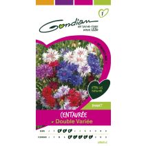 Centaurée barbeau double Gondian