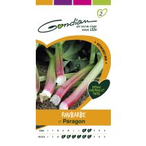 Rhubarbe victoria Gondian