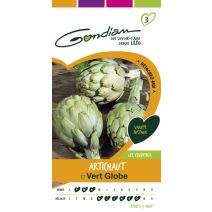 Artichaut vert globe Gondian