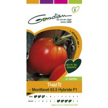 Tomate montfavet63-5 hf1 inra Gondian
