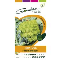 Chou fleur romanesco natalino Gondian