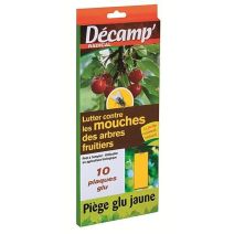 Piège jaune dipteres mouches arbres fruitiers