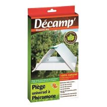 Piège maison + plaque glue 