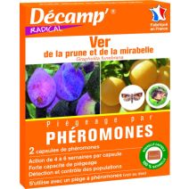 Ver de la prune grapholta funebrana -2 caps decamp