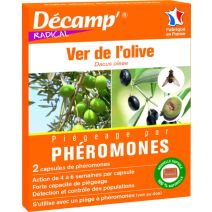 Ver de l'olive dacus olae - 2 caps decamp