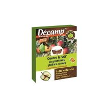 Ver de pomme,poire,noix-cydiapomonella-2 cap