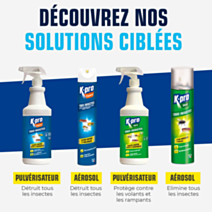 Aérosol tous insectes 300ml - K.PRO