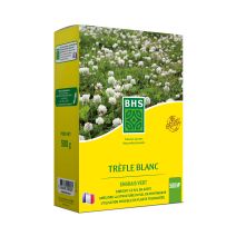 Semence tréfle blanc 0,5kg