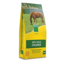 Semence gazon prairie 5kg