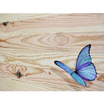 Lambris pin des landes naturel - 1ER