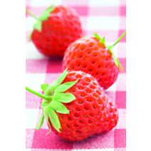Plant potager fraisier remontant x6 - JARDIN DE VOS ENVIES