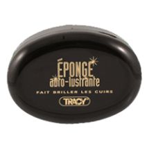 Eponge auto-lustrante