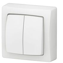 Interrupteur, va-et-vient ou poussoir double touche Appareillage Saillie complet blanc - LEGRAND