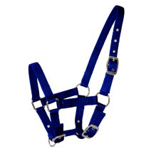 Licol Poulain Navy