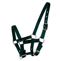 Licol Poulain Vert