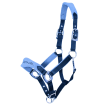 Licol Confort Poney Navy Ciel