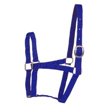 Licol eco nylon navy poney