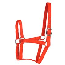 Licol eco nylon rouge double poney