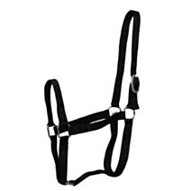 Licol eco nylon noir double poney