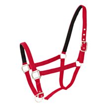 Licol double cuir poney rouge x2