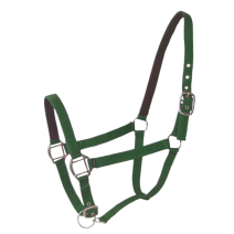 Licol Doublé Cuir Poney Vert