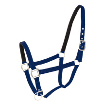 Licol Doublé Cuir Cheval Navy